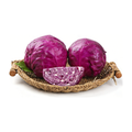 紫甘蓝 PURPLE CABBAGE
