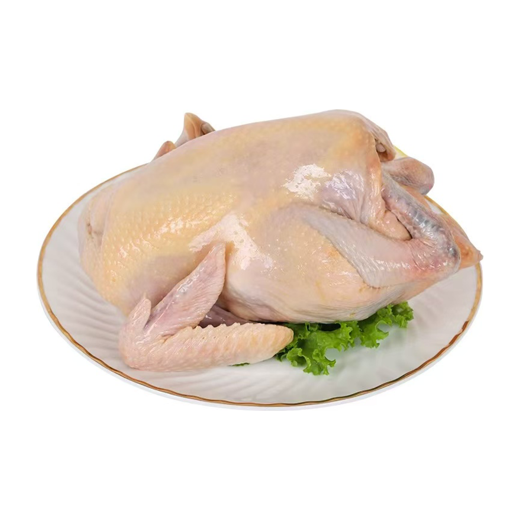 清远鸡 QINGYUAN CHICKEN