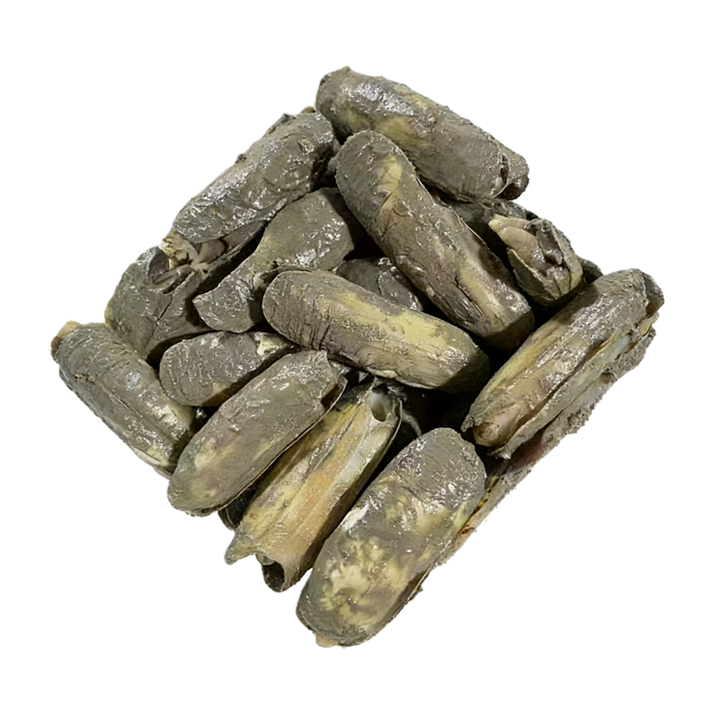 漳州本港海蛏 RAZOR CLAMS