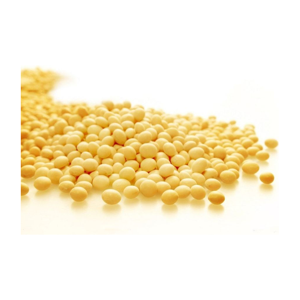 黄豆 SOY BEAN 230g