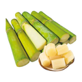 手撕水果甘蔗 SUGAR CANE