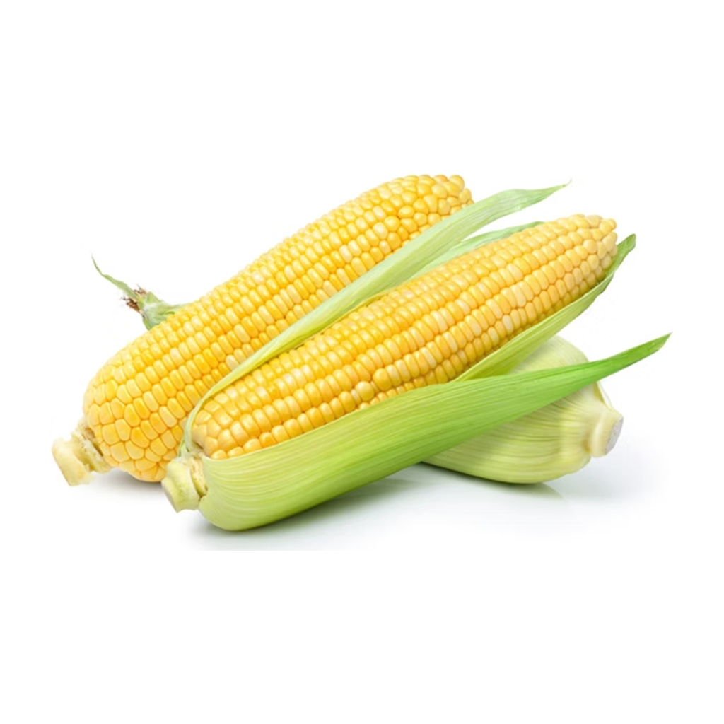 甜玉米 SWEET CORN