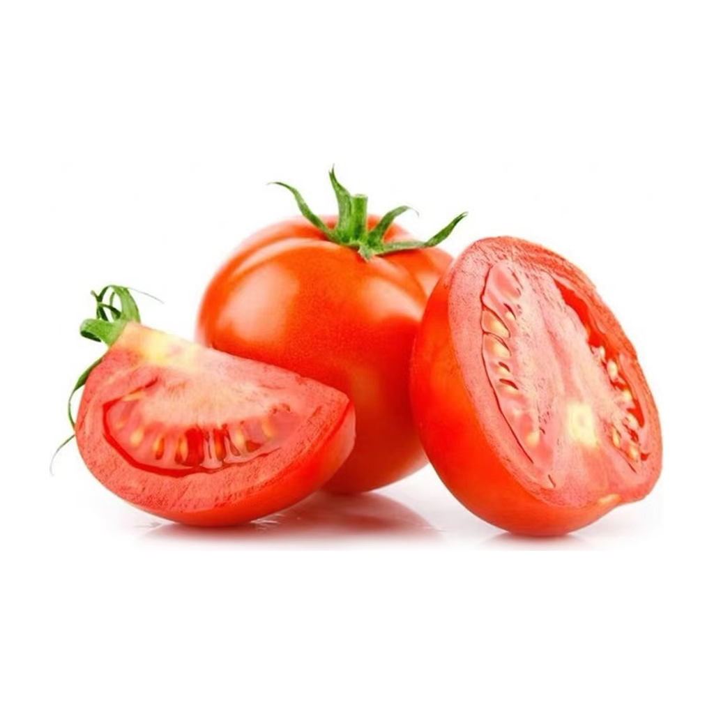 西红柿(番茄) TOMATOES