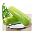 胡瓜 UPO
