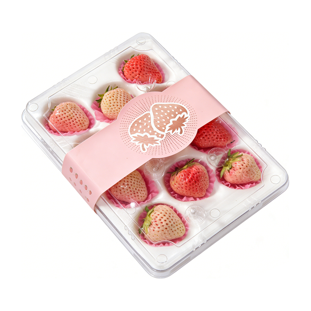 淡雪草莓 WHITE STRAWBERRY