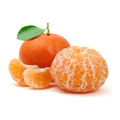 进口无核沃柑 WOGAN TANGERINE